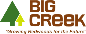 Big Creek Logo