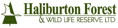 Haliburon Forest & Wild Life Reserve logo