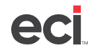 ECI Software Solutions logo