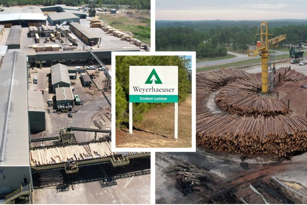 The facility will also add a new trimmer, sorter and stacker to improve mill efficiencies and help reach production targets. (Weyerhaeuser Photo)