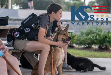 K9s For Warriors photo